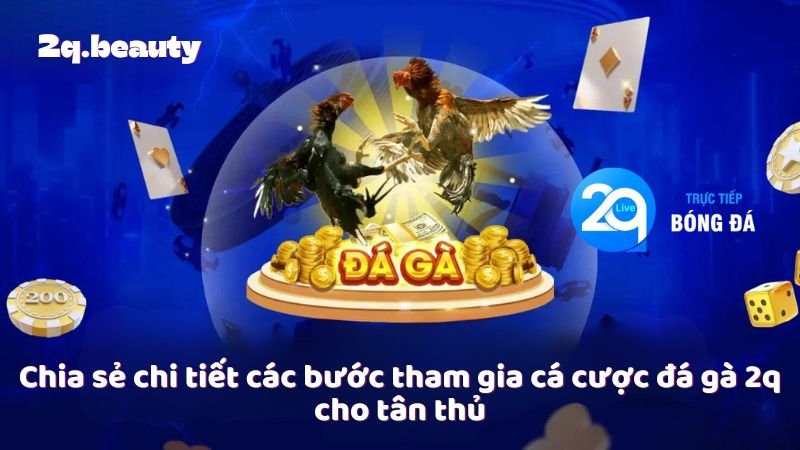Đá Gà 2Q – Trải Nghiệm Đỉnh Cao Cùng Niềm Đam Mê 3 Chia sẻ chi tiết các bước tham gia cá cược đá gà 2q cho tân thủ