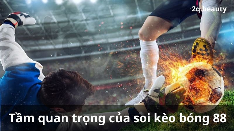 Soi kèo bóng 88: Chìa khóa cho lợi nhuận 8 Tầm quan trọng của soi kèo bóng 88